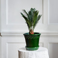 Bergs Potter - Copenhagen Glazed Terracotta Pot and Saucer 12cm